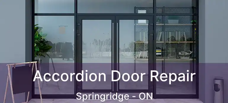  Accordion Door Repair Springridge - ON