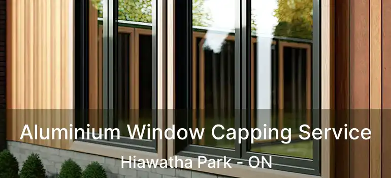  Aluminium Window Capping Service Hiawatha Park - ON