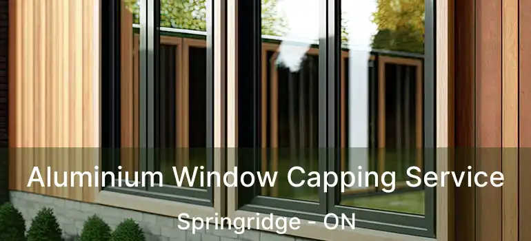  Aluminium Window Capping Service Springridge - ON