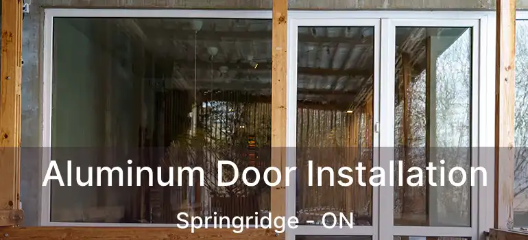  Aluminum Door Installation Springridge - ON