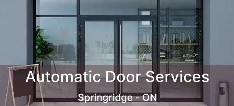  Automatic Door Services Springridge - ON