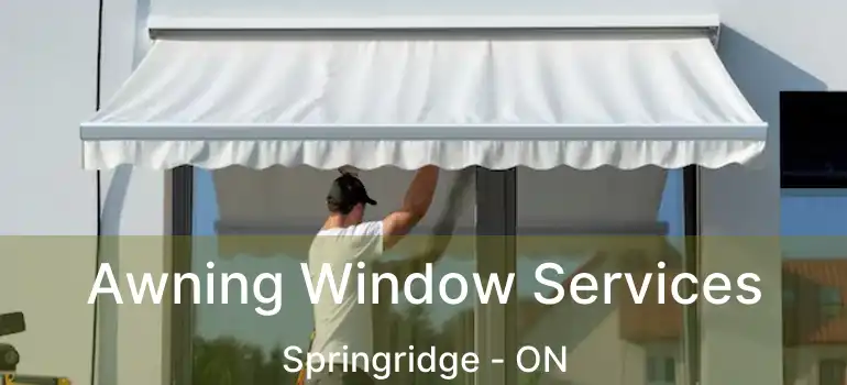  Awning Window Services Springridge - ON