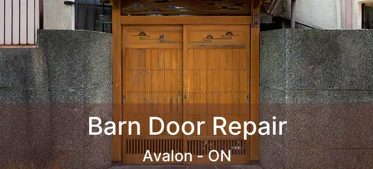  Barn Door Repair Avalon - ON
