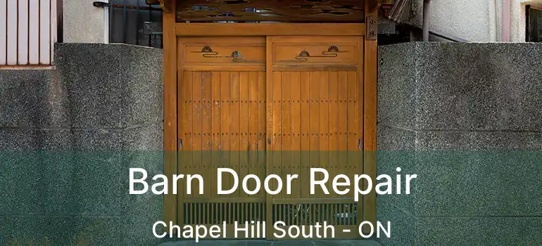  Barn Door Repair Chapel Hill South - ON