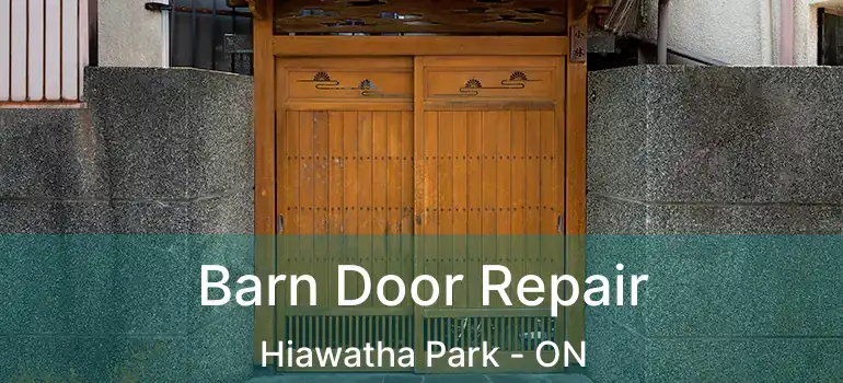  Barn Door Repair Hiawatha Park - ON