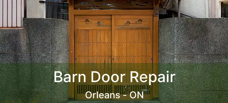  Barn Door Repair Orleans - ON