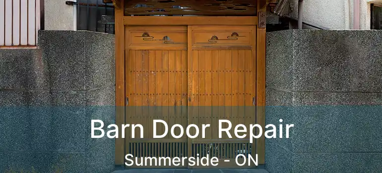  Barn Door Repair Summerside - ON
