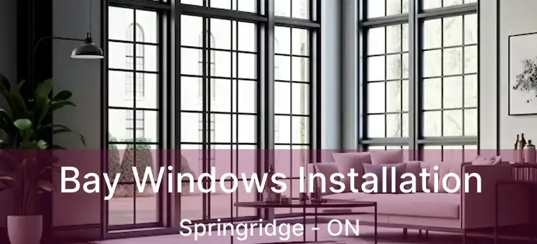  Bay Windows Installation Springridge - ON