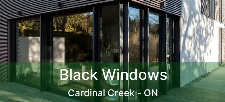  Black Windows Cardinal Creek - ON