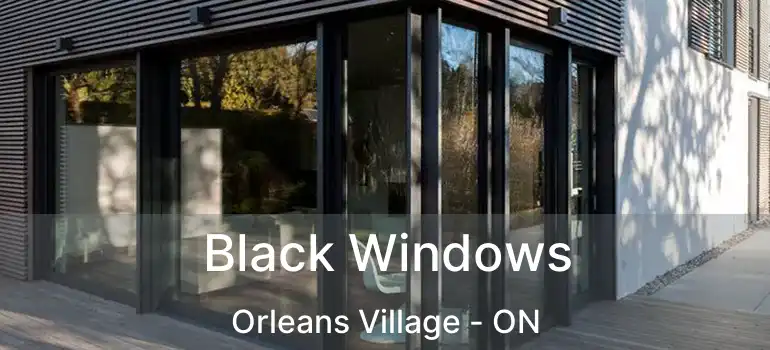  Black Windows Orleans Village - ON