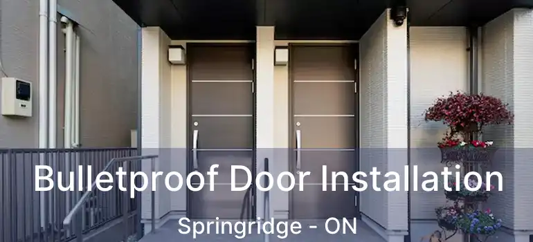  Bulletproof Door Installation Springridge - ON