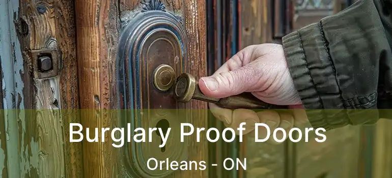  Burglary Proof Doors Orleans - ON