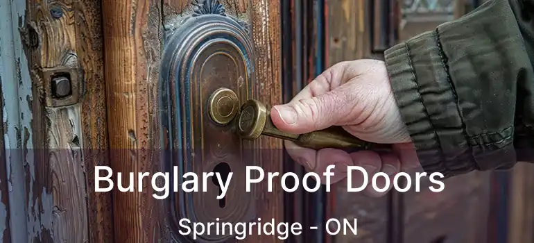  Burglary Proof Doors Springridge - ON