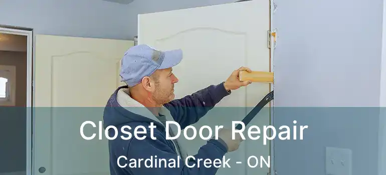  Closet Door Repair Cardinal Creek - ON