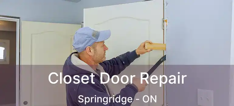  Closet Door Repair Springridge - ON