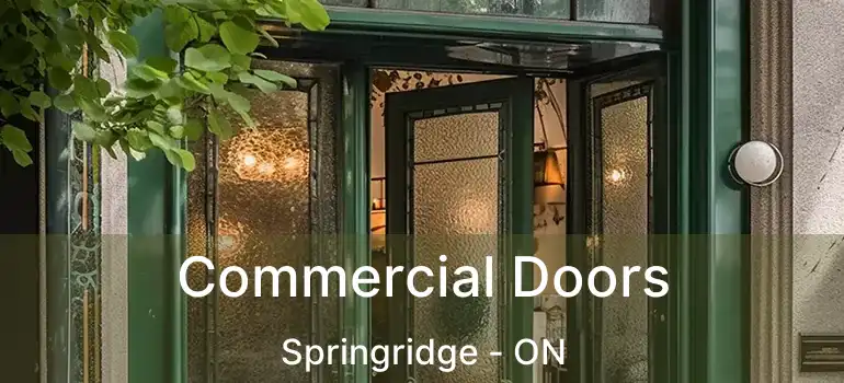  Commercial Doors Springridge - ON