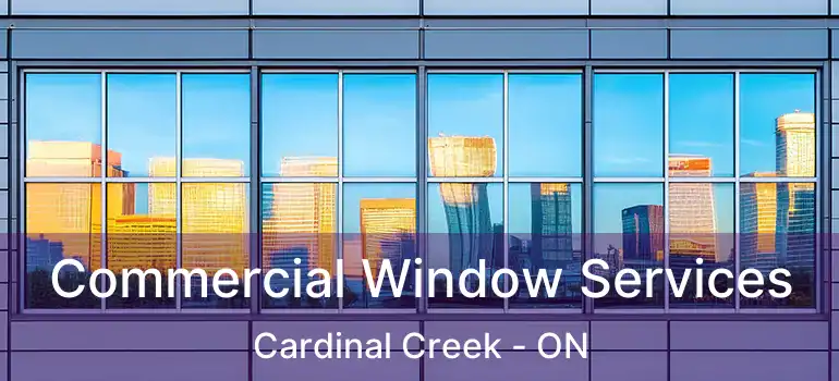  Commercial Window Services Cardinal Creek - ON
