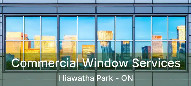  Commercial Window Services Hiawatha Park - ON