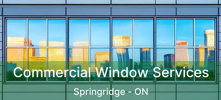  Commercial Window Services Springridge - ON
