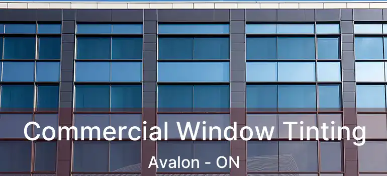  Commercial Window Tinting Avalon - ON