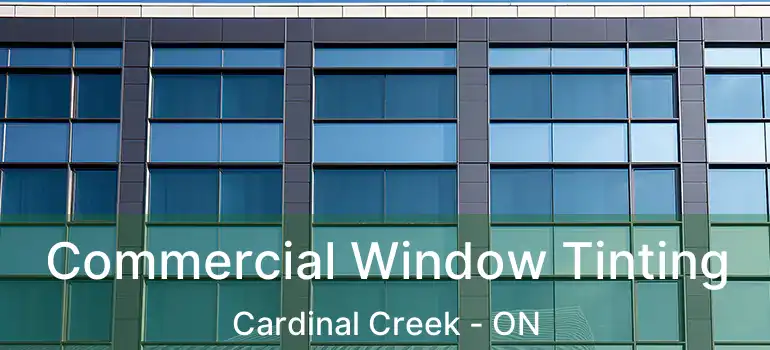  Commercial Window Tinting Cardinal Creek - ON
