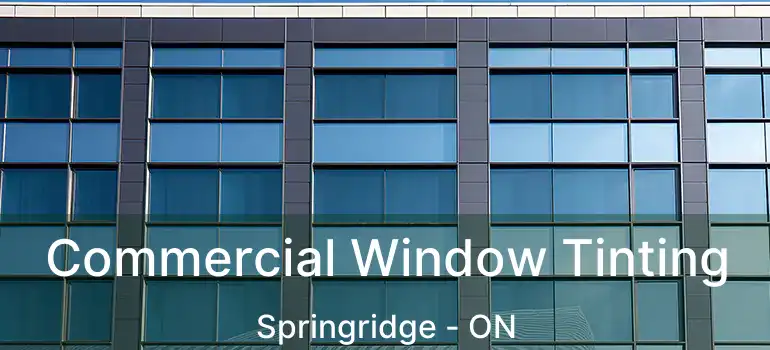  Commercial Window Tinting Springridge - ON