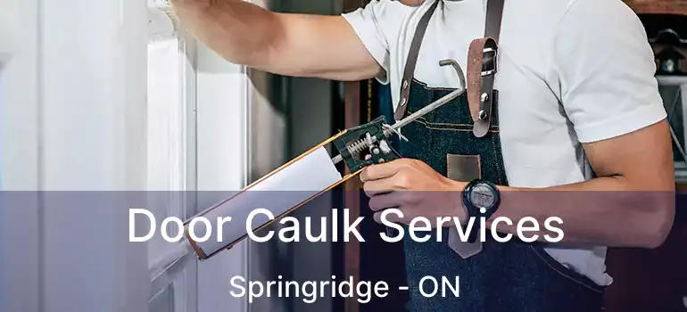  Door Caulk Services Springridge - ON