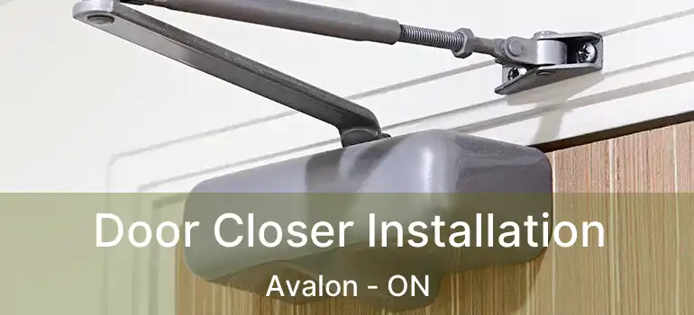  Door Closer Installation Avalon - ON