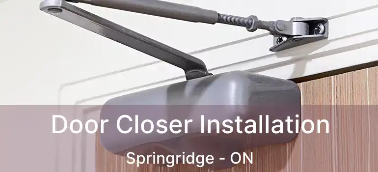  Door Closer Installation Springridge - ON