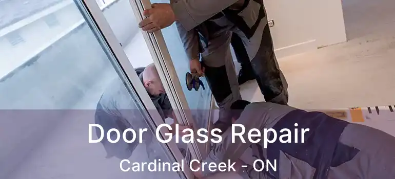  Door Glass Repair Cardinal Creek - ON