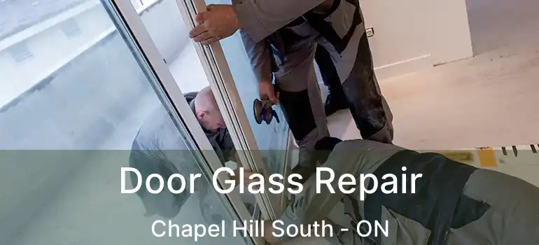  Door Glass Repair Chapel Hill South - ON