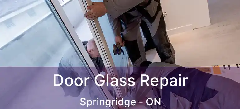  Door Glass Repair Springridge - ON