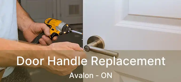  Door Handle Replacement Avalon - ON