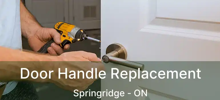  Door Handle Replacement Springridge - ON