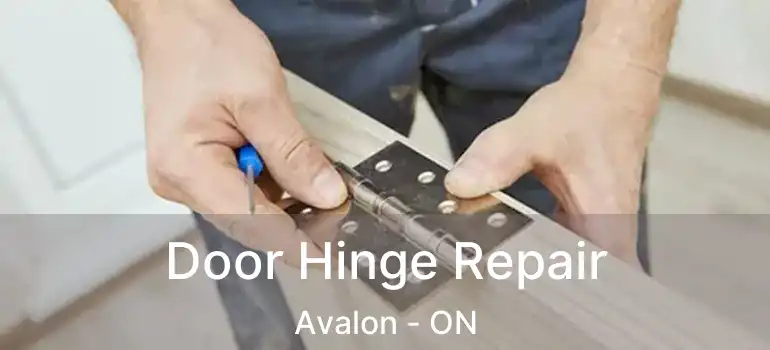  Door Hinge Repair Avalon - ON