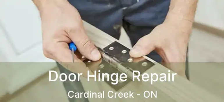  Door Hinge Repair Cardinal Creek - ON