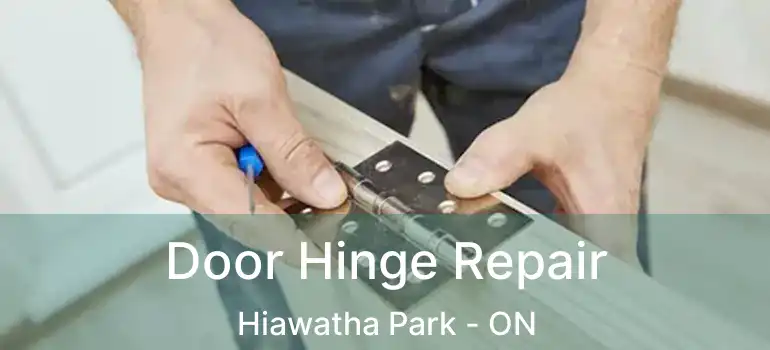  Door Hinge Repair Hiawatha Park - ON