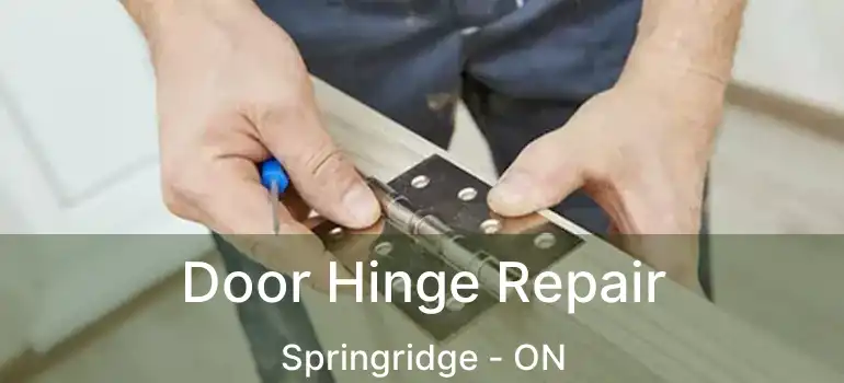  Door Hinge Repair Springridge - ON