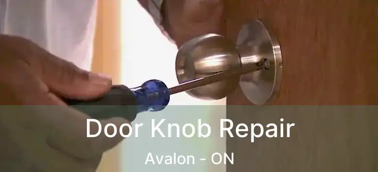  Door Knob Repair Avalon - ON