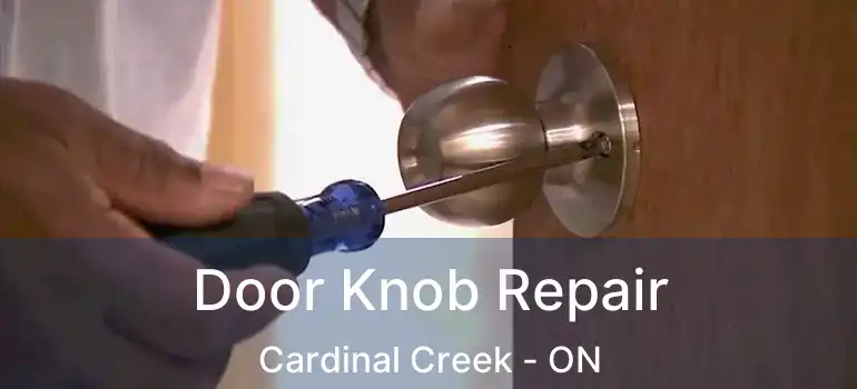  Door Knob Repair Cardinal Creek - ON