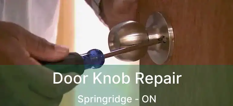  Door Knob Repair Springridge - ON