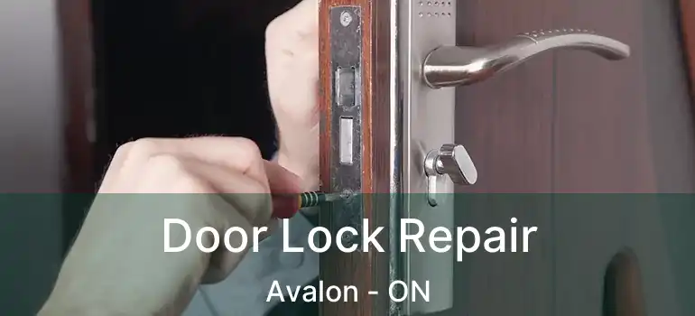  Door Lock Repair Avalon - ON