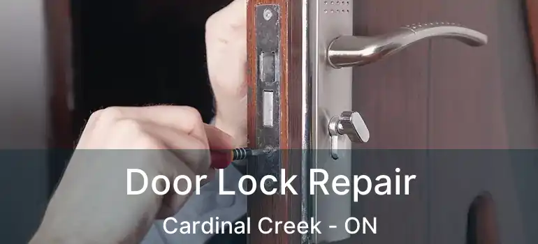  Door Lock Repair Cardinal Creek - ON