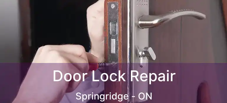  Door Lock Repair Springridge - ON