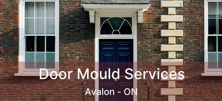  Door Mould Services Avalon - ON