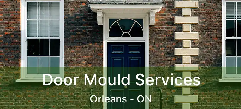  Door Mould Services Orleans - ON