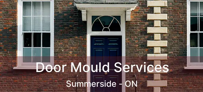  Door Mould Services Summerside - ON