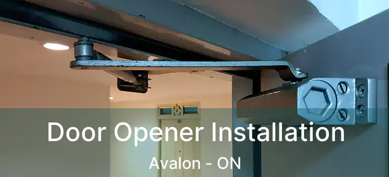  Door Opener Installation Avalon - ON