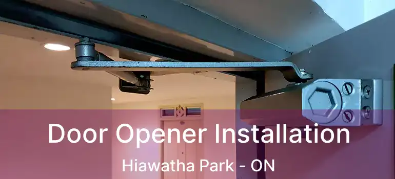  Door Opener Installation Hiawatha Park - ON
