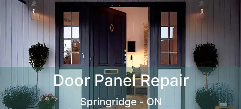  Door Panel Repair Springridge - ON